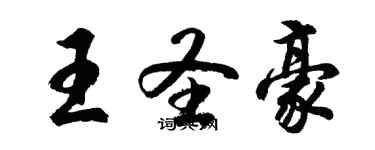 胡问遂王圣豪行书个性签名怎么写