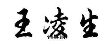 胡问遂王凌生行书个性签名怎么写