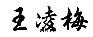 胡问遂王凌梅行书个性签名怎么写