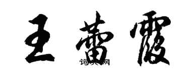胡问遂王蕾霞行书个性签名怎么写