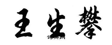 胡问遂王生攀行书个性签名怎么写