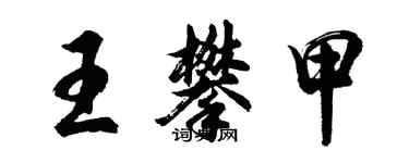胡问遂王攀甲行书个性签名怎么写