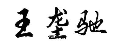 胡问遂王垄驰行书个性签名怎么写