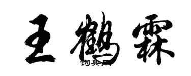 胡问遂王鹤霖行书个性签名怎么写