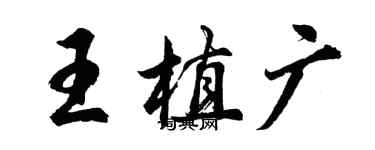 胡问遂王植广行书个性签名怎么写