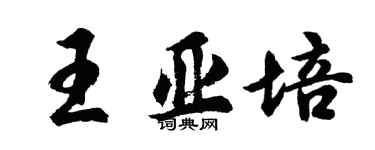 胡问遂王亚培行书个性签名怎么写