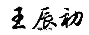 胡问遂王辰初行书个性签名怎么写