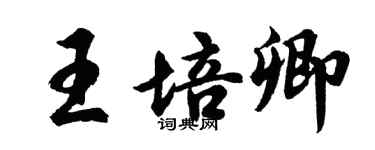 胡问遂王培卿行书个性签名怎么写