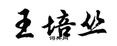 胡问遂王培丛行书个性签名怎么写