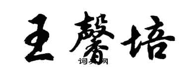 胡问遂王馨培行书个性签名怎么写