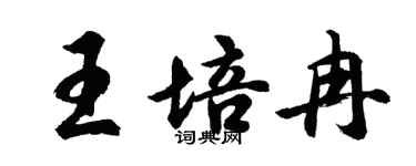 胡问遂王培冉行书个性签名怎么写
