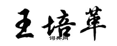 胡问遂王培革行书个性签名怎么写