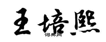 胡问遂王培熙行书个性签名怎么写
