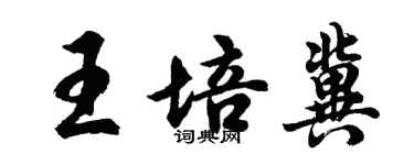 胡问遂王培冀行书个性签名怎么写
