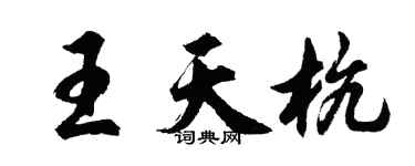 胡问遂王天杭行书个性签名怎么写