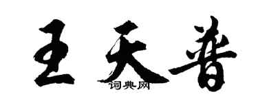 胡问遂王天普行书个性签名怎么写