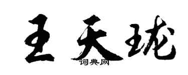 胡问遂王天珑行书个性签名怎么写