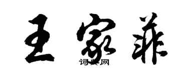 胡问遂王家菲行书个性签名怎么写