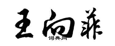 胡问遂王向菲行书个性签名怎么写