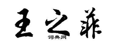 胡问遂王之菲行书个性签名怎么写