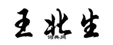 胡问遂王北生行书个性签名怎么写