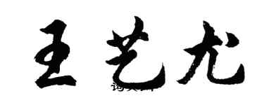 胡问遂王艺尤行书个性签名怎么写