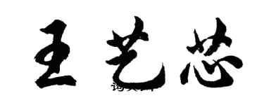 胡问遂王艺芯行书个性签名怎么写