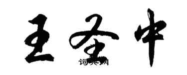 胡问遂王圣中行书个性签名怎么写