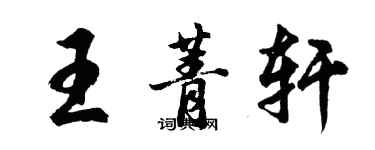 胡问遂王菁轩行书个性签名怎么写