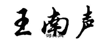 胡问遂王南声行书个性签名怎么写