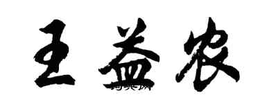 胡问遂王益农行书个性签名怎么写