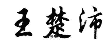 胡问遂王楚沛行书个性签名怎么写