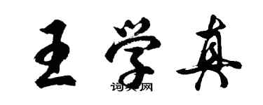 胡问遂王学真行书个性签名怎么写