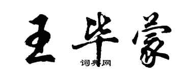 胡问遂王毕蒙行书个性签名怎么写