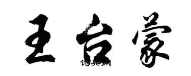 胡问遂王台蒙行书个性签名怎么写
