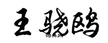 胡问遂王骁鸥行书个性签名怎么写