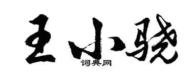 胡问遂王小骁行书个性签名怎么写