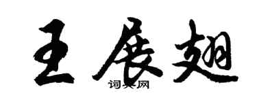 胡问遂王展翅行书个性签名怎么写