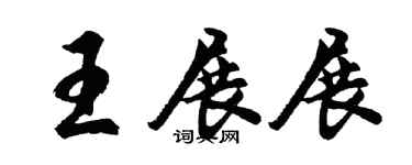 胡问遂王展展行书个性签名怎么写