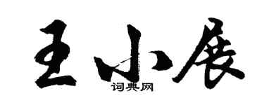 胡问遂王小展行书个性签名怎么写