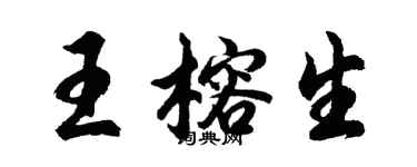 胡问遂王榕生行书个性签名怎么写