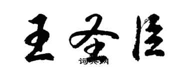 胡问遂王圣臣行书个性签名怎么写