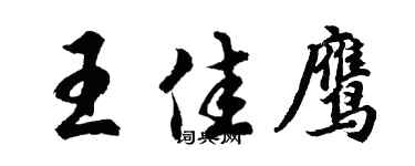 胡问遂王佳鹰行书个性签名怎么写