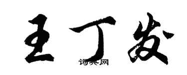 胡问遂王丁发行书个性签名怎么写