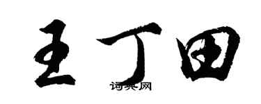 胡问遂王丁田行书个性签名怎么写