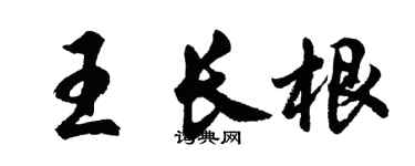 胡问遂王长根行书个性签名怎么写