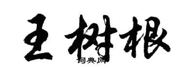 胡问遂王树根行书个性签名怎么写