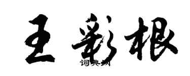 胡问遂王彩根行书个性签名怎么写