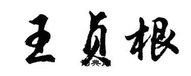 胡问遂王贞根行书个性签名怎么写