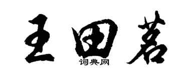 胡问遂王田茗行书个性签名怎么写
